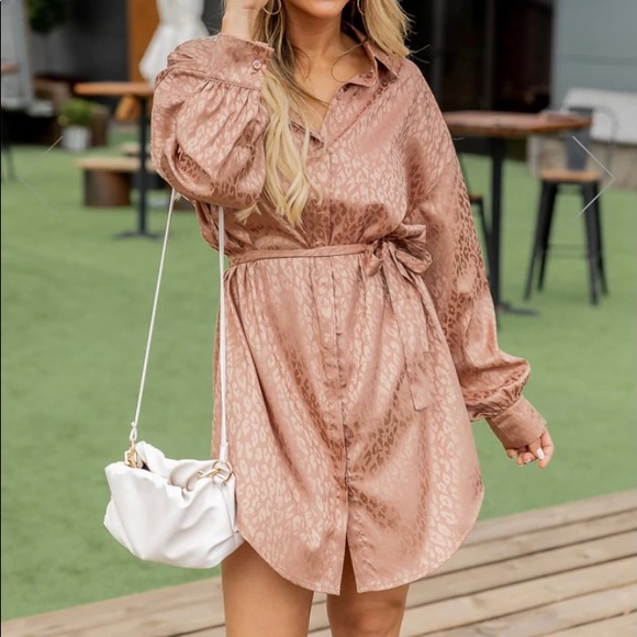 Pink Lily Dresses & Skirts - Satin Leopard Camel Dress